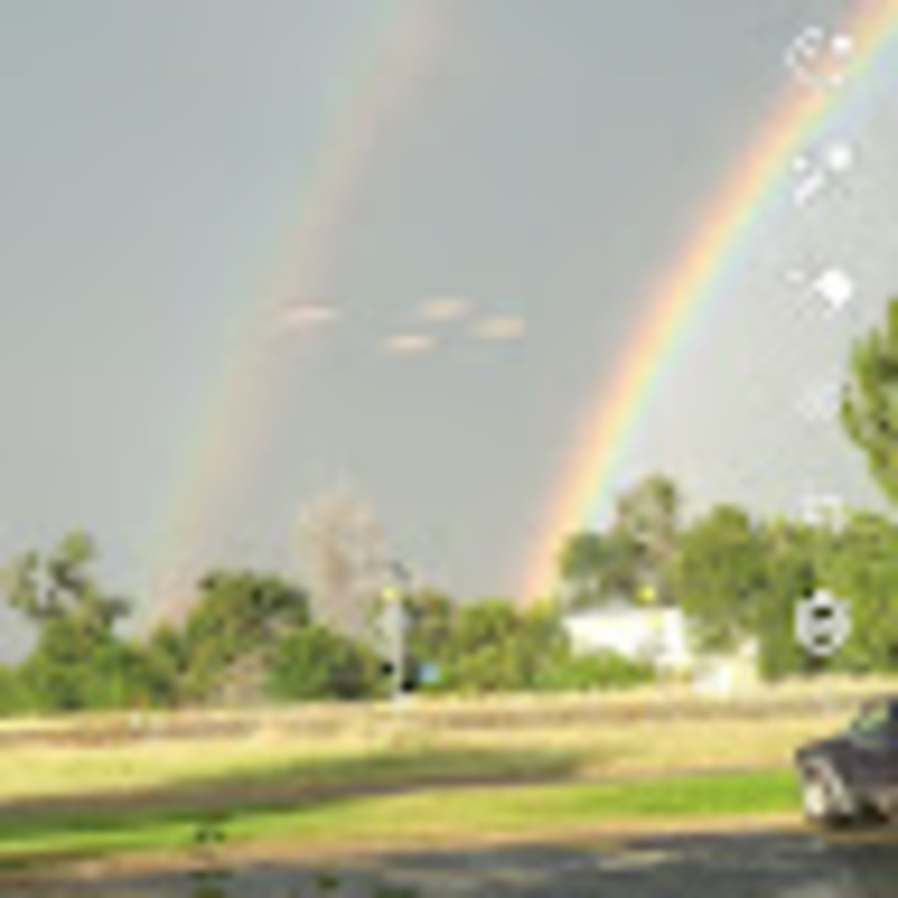 Meet your Posher, Noel